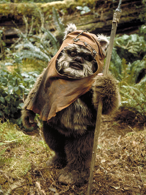 Wicket RotJ.png