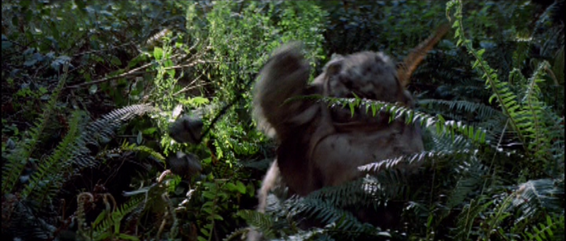 File:EwokWithBola-ROTJ.png