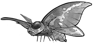 Moon Moth.png