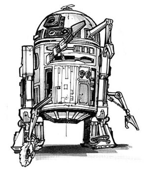 P2 EGD.jpg