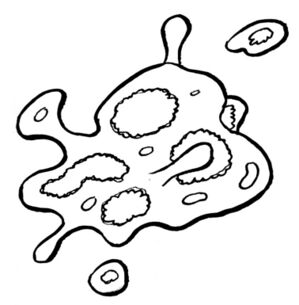 Luf Virus.jpg