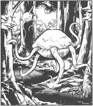 Orgon.jpg