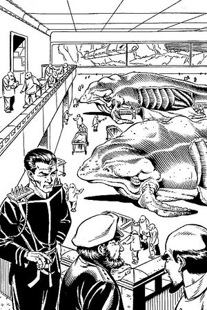 Whaling station.jpg