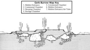 Gerb burrow.jpg