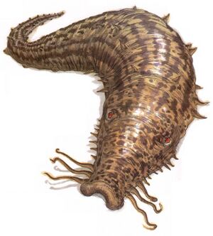 Duracrete worm.jpg