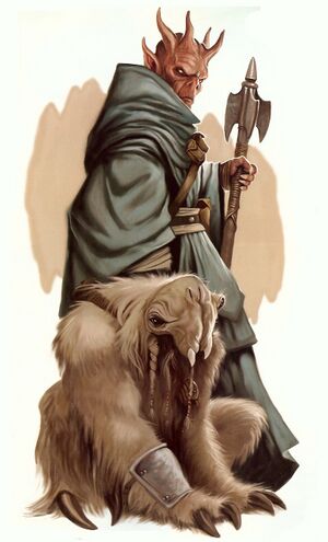 Elom-Elomin NEGAS.jpg