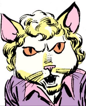 FelineFunky.jpg
