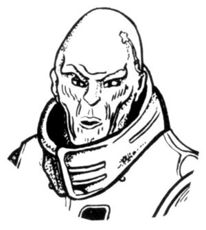 Helm Iskraker.jpg