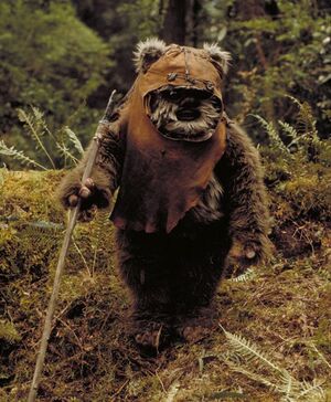 Wicket rotj.jpg