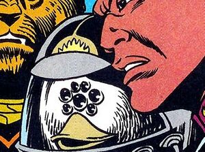 Spider Duck.jpg