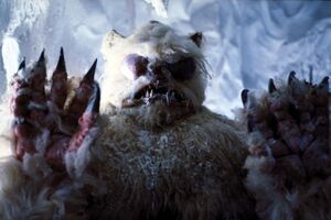 Wampa unused btm.jpg