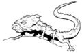 Thumbnail for version as of 00:12, 21 February 2023