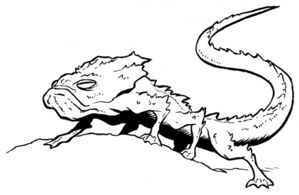 Sun-lizard.jpg