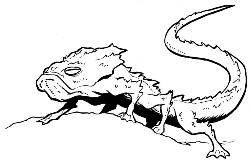 File:Sun-lizard.jpg