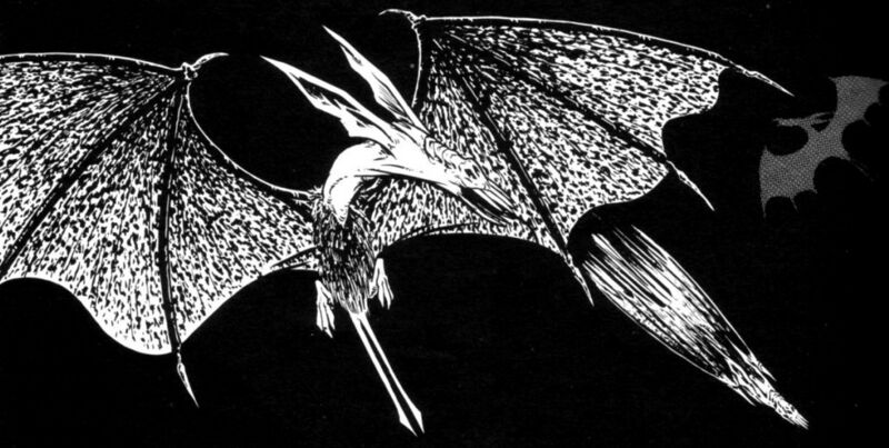 File:Shredder bat.jpg