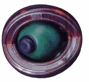 EyesofMesra.jpg