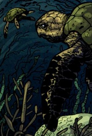 Inv07-Turtles.jpg