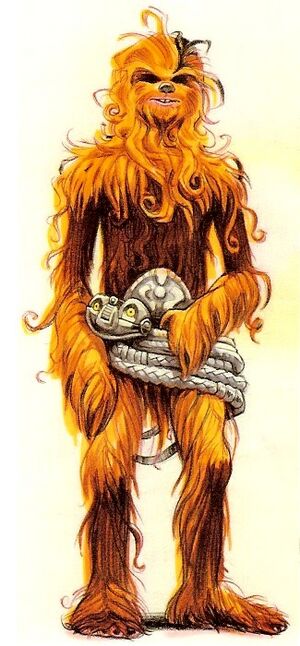 Lowbacca18.jpg