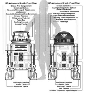 R6-R7 EGTD.jpg