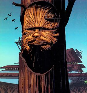 ChewbaccaMemorial-Chewbacca2.jpg