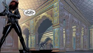 Raid on the Imperial Palace.jpg