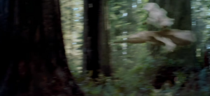MisikCrash.png