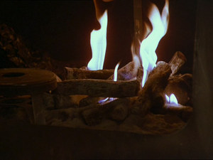 Fire at Noas.png
