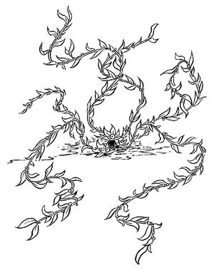 Seaweed.jpg