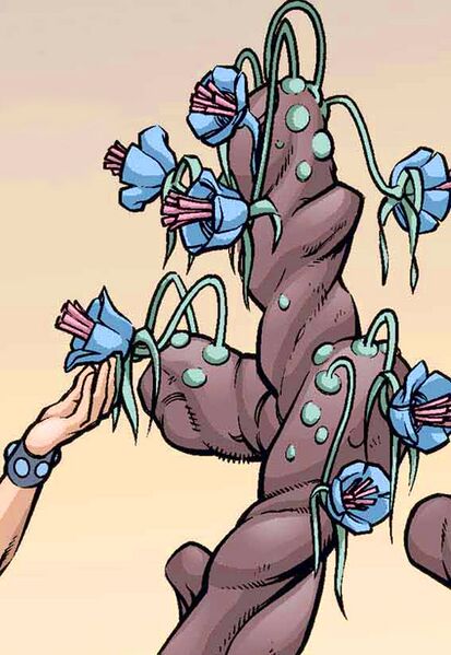 File:Succulosum Azure.jpg