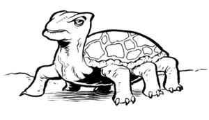 Tortapo.jpg