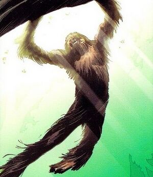 Chewbacca 004.jpg