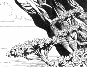 Trileaf.png