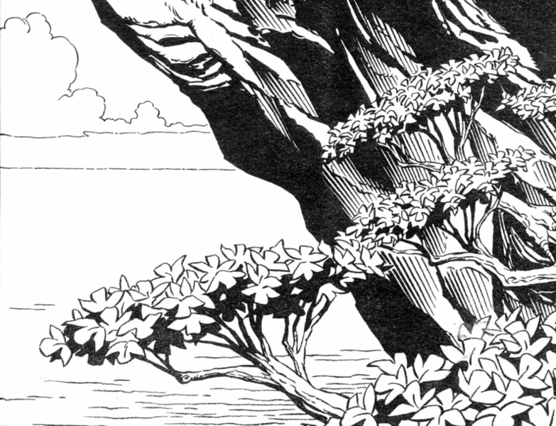 File:Trileaf.png
