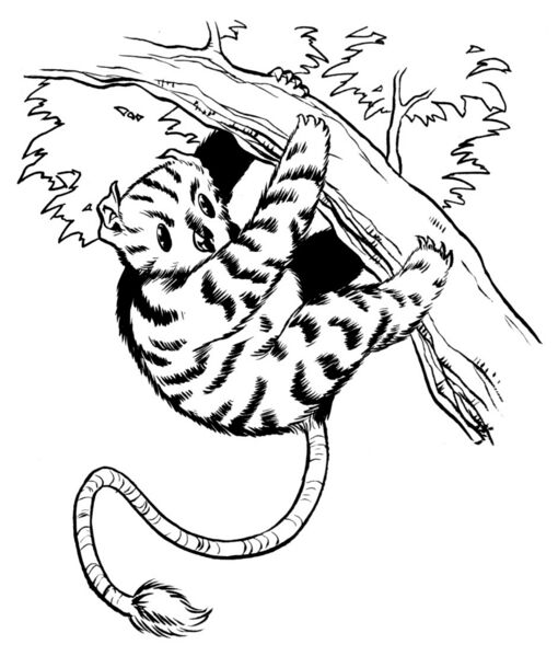 File:Mishalope.jpg