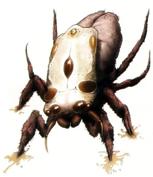 File:Netcaster.jpg