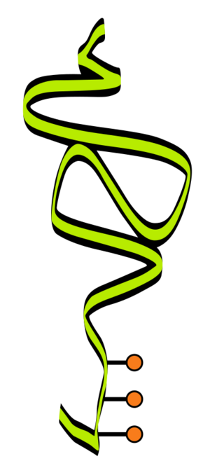 Neuro-Saav Corporation.svg