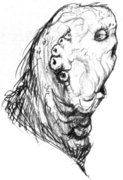 File:Mexnean.jpg
