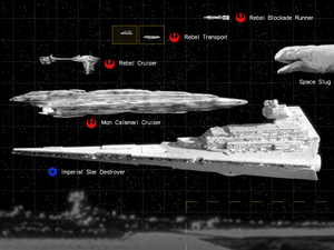 Capital size chart.png