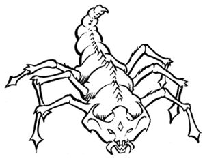 Kretch insect.jpg