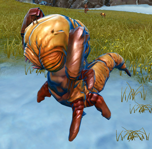 Killik larva.png
