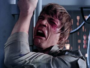 Luke whining.jpg
