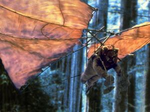 Hang glider btm.jpg