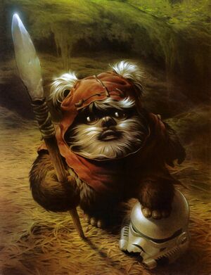 Wicket-SWI31.jpg