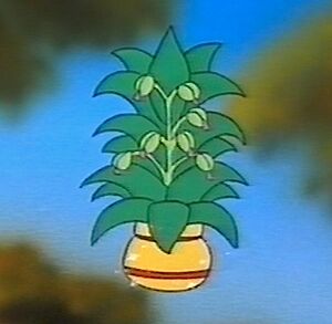 Wish plant.jpg