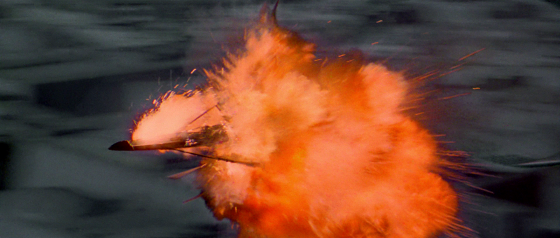 File:Roasted Porkins.png