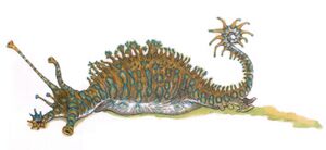 Granite Slugs.jpg
