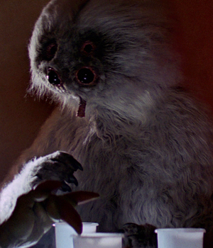 Muftak-ANH.png