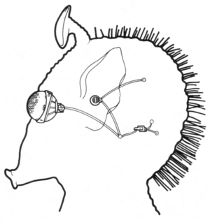 Hifold Sensory Package.png