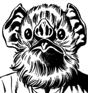 Fandar.png