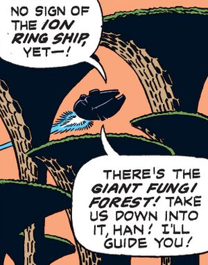 FungiForest.jpg